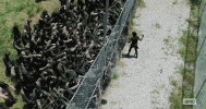1000011517.gif