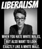 MadCow.jpg