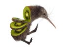 kiwi-fruit.jpeg