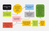 Polygyny is not a sin flowchart.png