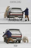 bear-meme-vehicle-excuse-me-sir-do-you-have-a-moment-to-talk-aboutjesus-christ-sir.jpg