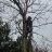 Stuckinthewoods